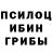 Псилоцибиновые грибы Psilocybe ANOSKY STARS
