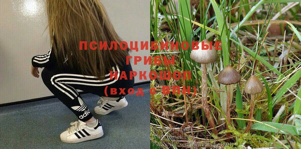 гидра Армянск